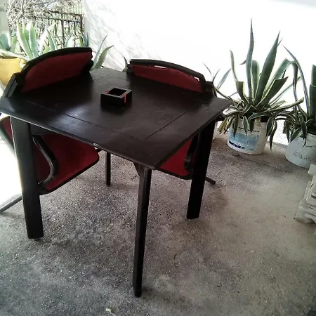 Husage Cisica19 *